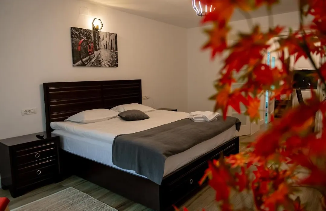 Old Town Suites Brasov-1